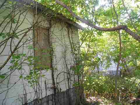 18889 Cardoni (6)_m.jpg